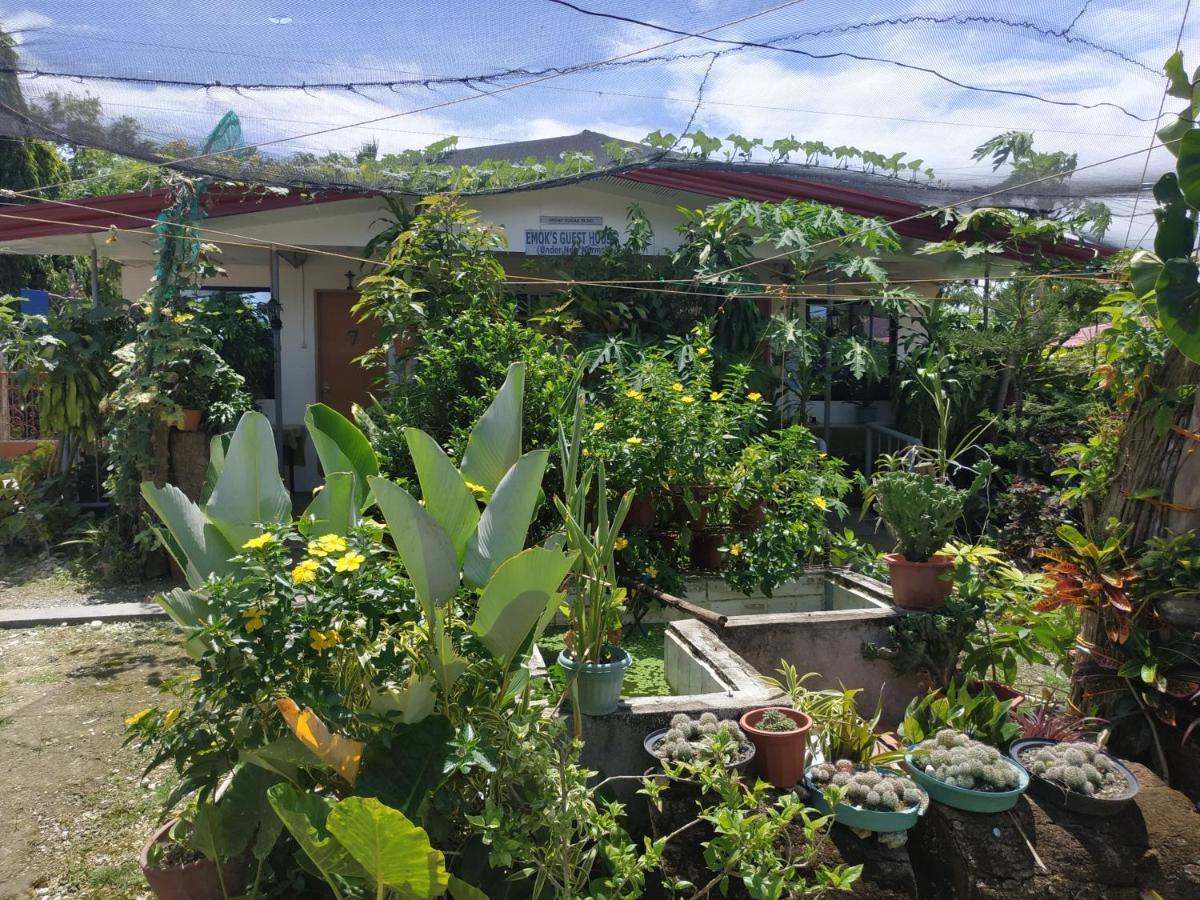 Emoks Guest House Moalboal Luaran gambar